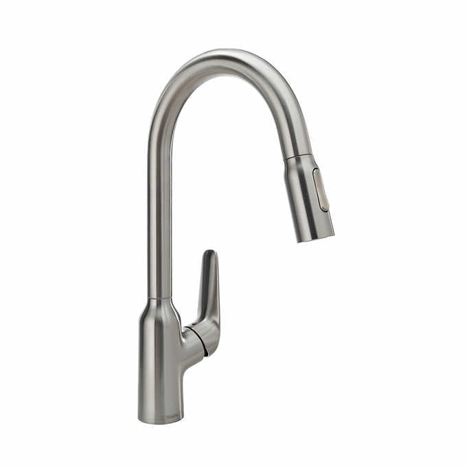 Hansgrohe Focus N Single-Handle Pull-Down Sprayer Kitchen Faucet