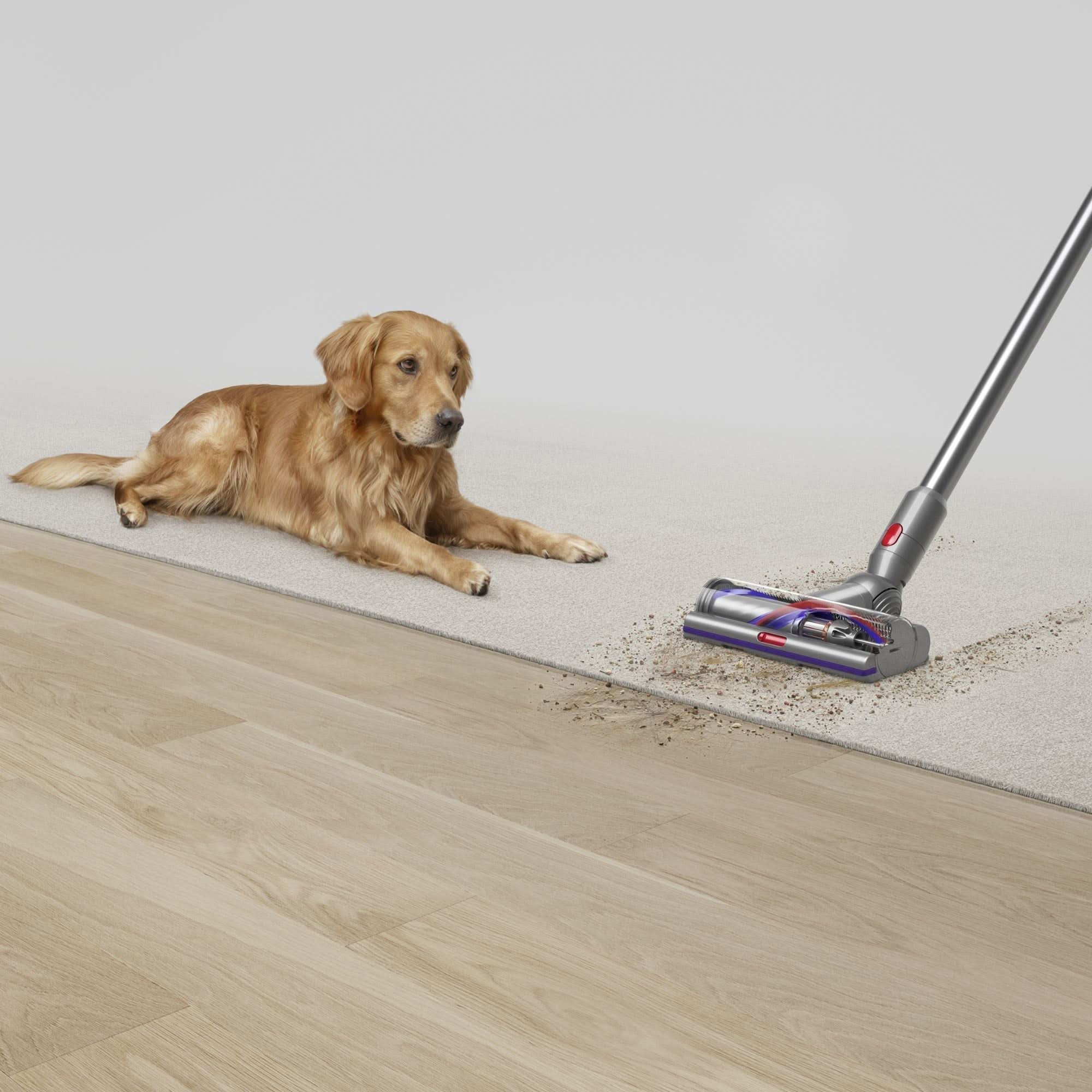Dyson V15 Detect Total Clean Extra Cordless Stick Vacuum