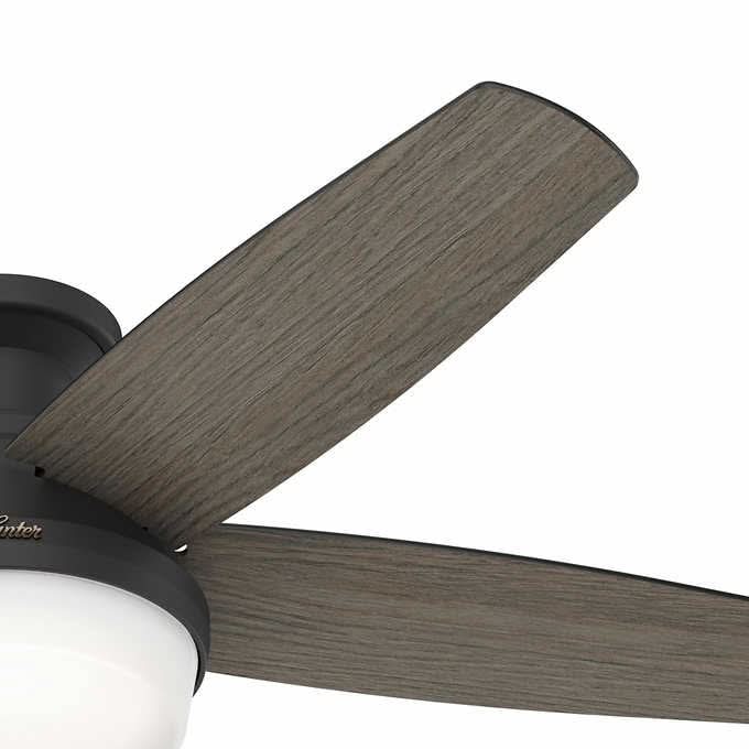 Hunter Avia Low Profile LED 48" Ceiling Fan
