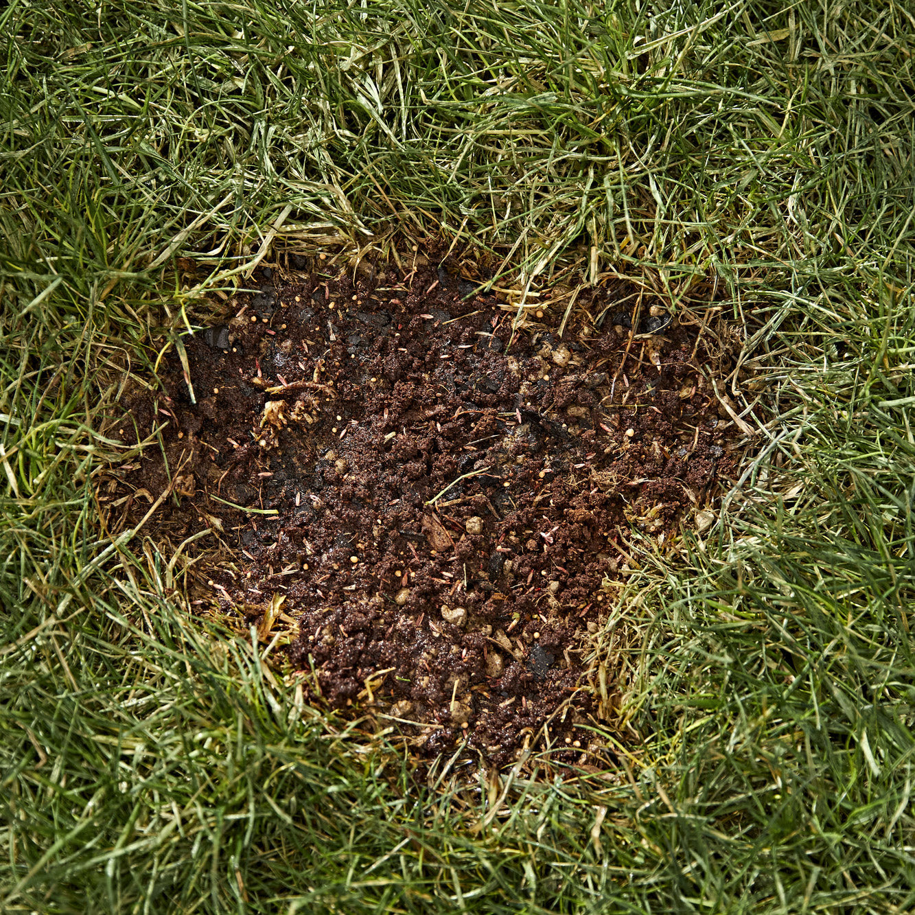 Scotts Seed Patch & Repair Sun and Shade 25 lb