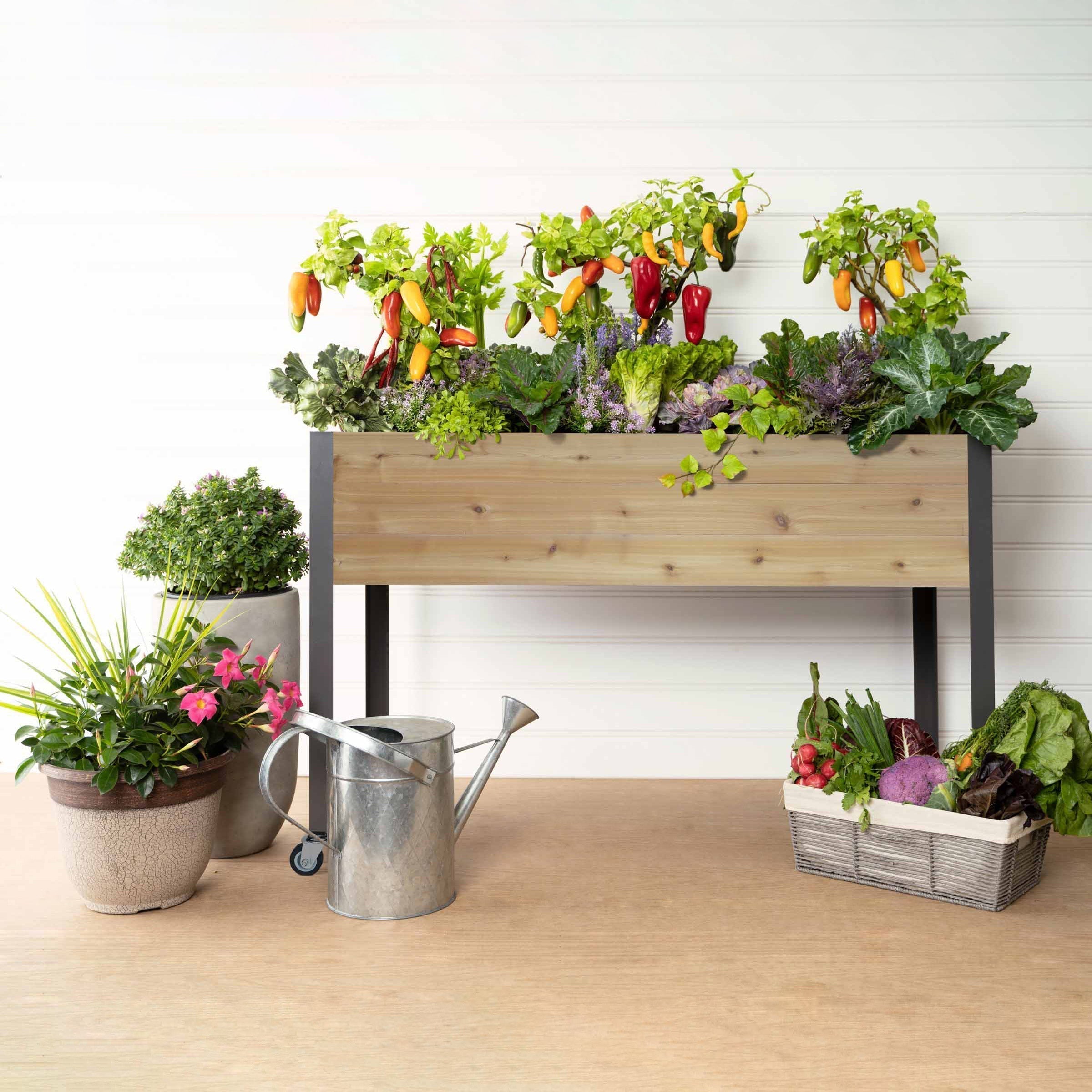 CedarCraft Self-watering Planter 21"x47"x32"