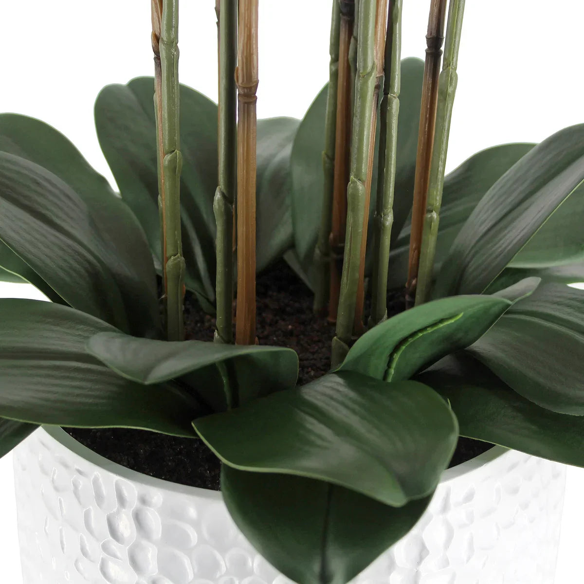 Faux 4’ Phalaenopsis Orchid