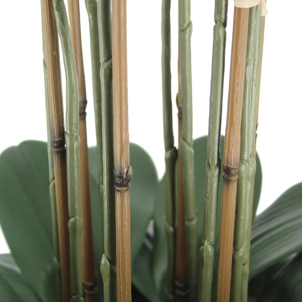 Faux 4’ Phalaenopsis Orchid