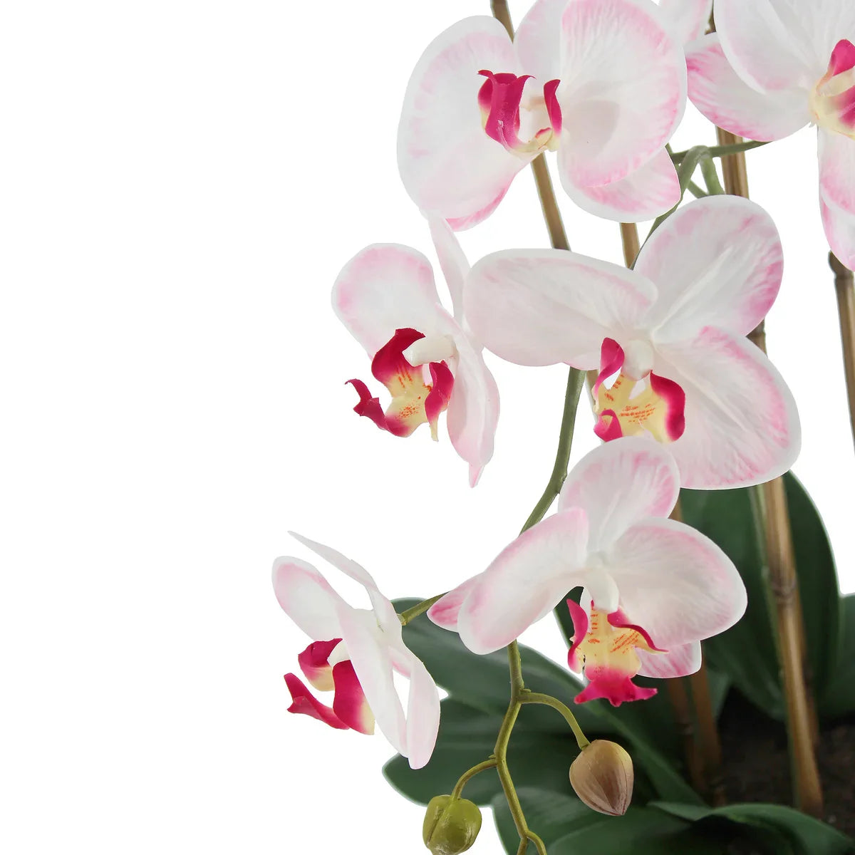 Faux 4’ Phalaenopsis Orchid
