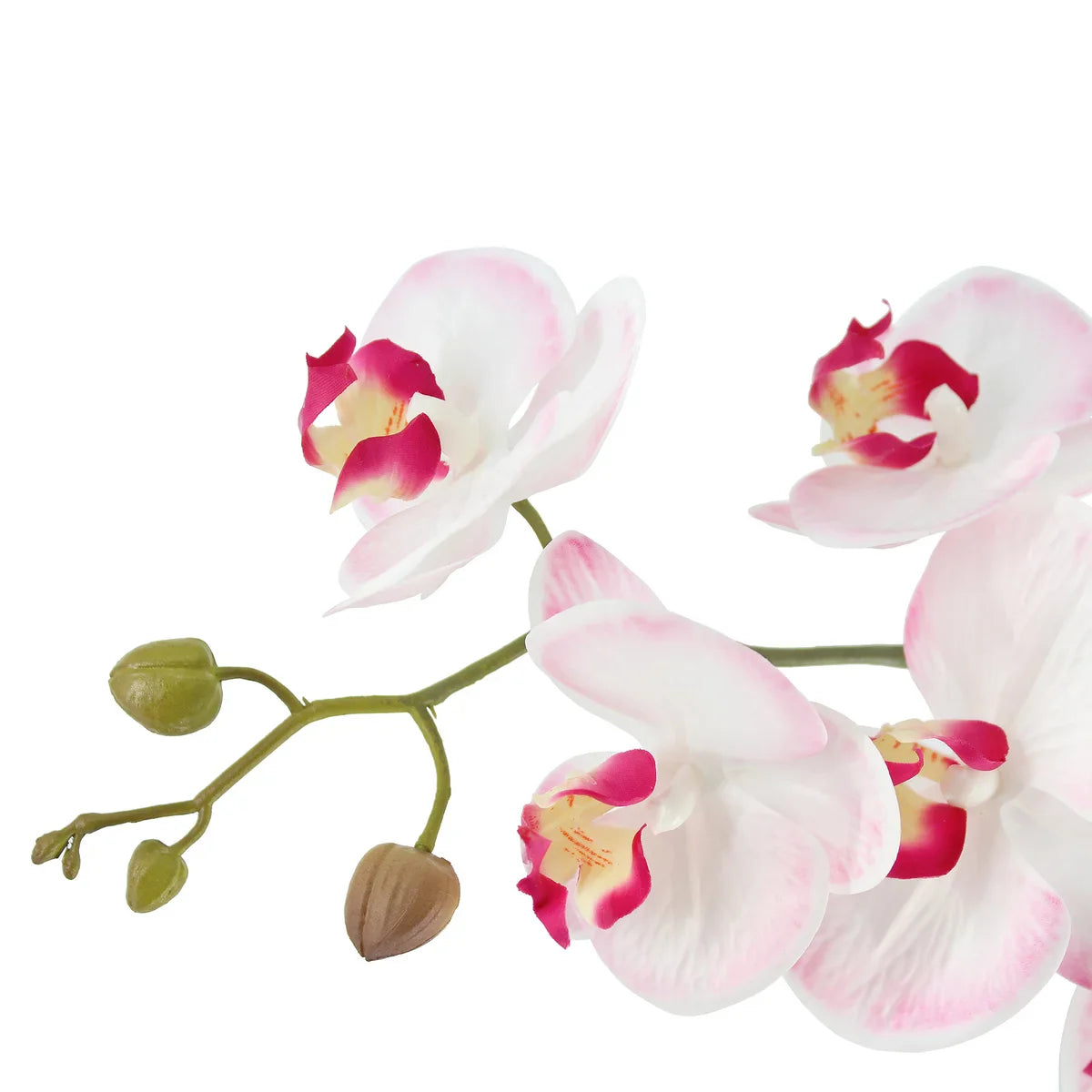 Faux 4’ Phalaenopsis Orchid