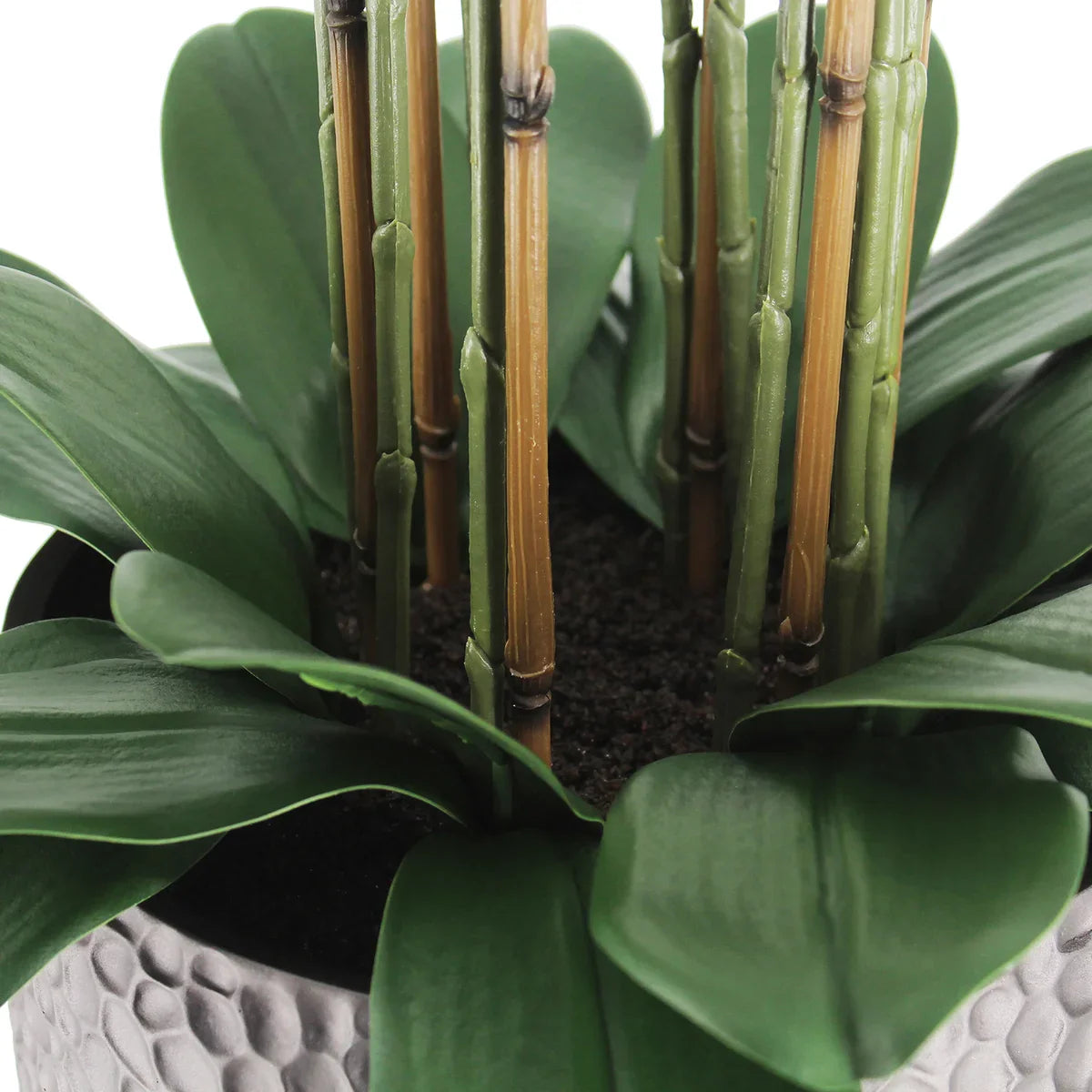 Faux 4’ Phalaenopsis Orchid