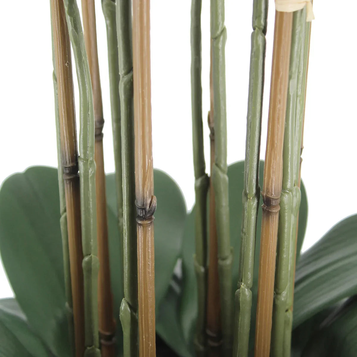 Faux 4’ Phalaenopsis Orchid