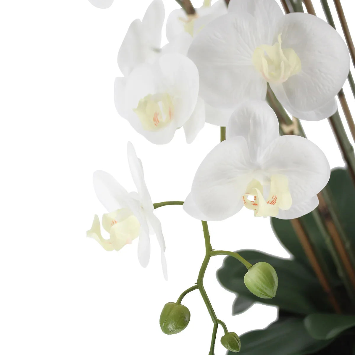 Faux 4’ Phalaenopsis Orchid