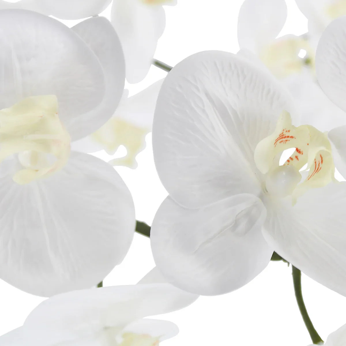 Faux 4’ Phalaenopsis Orchid